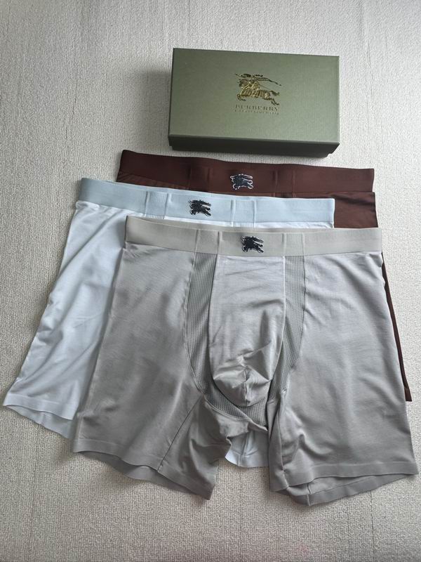 Burberry boxer L-4XL 072321